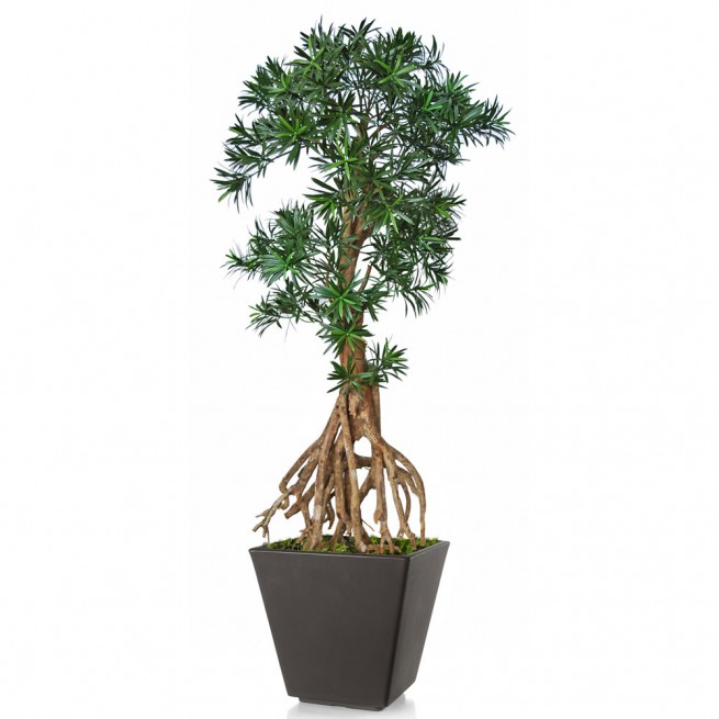 Planta semi-artificiala Ila, Podocarpus Root Mini Green - 150 cm